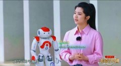 器人和演员正在台前打五禽戏